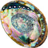 Hand Selected Abalone Shell, 6 Inches or Larger. Perfect for Holding Incense, Trinkets, and More...