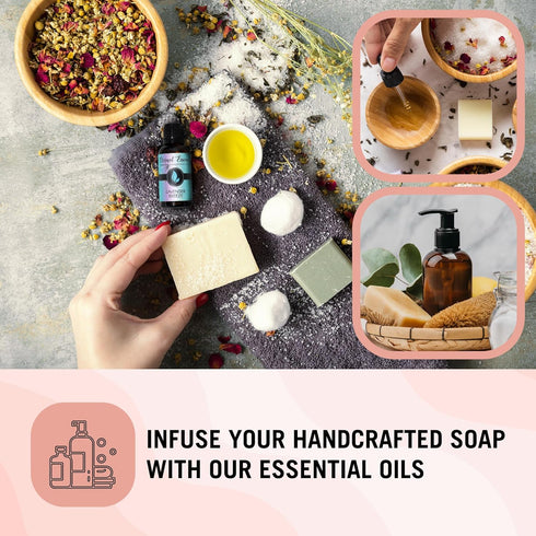 Pair (2) - Peach Citrus & Seaside Citrus - Premium Fragrance Oil Pair - 10ML...