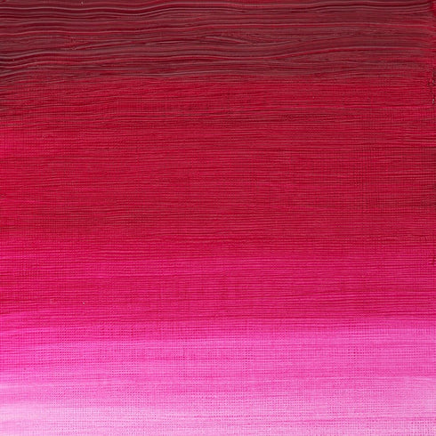 Winsor & Newton Artists' Oil Color, 37ml (1.25 oz) Tube, Quinacridone Magenta...