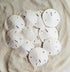 Tumbler Home White Sand Dollars 3"-3.5" - 10pcs - Wedding Seashell Craft Sandollars- Hand Picked and Professionally Packed...