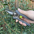 Straight Blade Bypass Pruning Shears Compact Heavy Duty & Ultra Sharp for Gardening – 6.7 Inch Stainless-Steel Garden Shears – Ergonomic Trimming ...