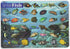 Painless Learning Saltwater Fish Placemat, 12 x 17 1/2 inches...