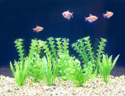 Penn-Plax Aquarium Décor and Plants - Add color and interest to your tank - 9 Pack Green...