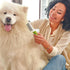 Detangling Pet Comb for Dogs & Cats - Detangler Grooming Tool with Long & Short Stainless Steel Metal Teeth for Dematting Matted Fur, Combing Out ...