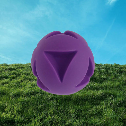 Soft-Flex Best Clutch Ball Dog Toy, 4.5-inch Grape...