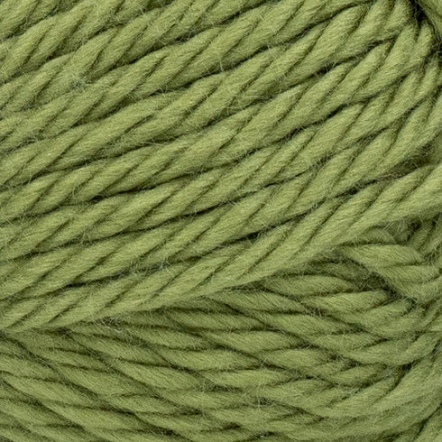 Lion Brand Yarn Hometown Yarn, Bulky Yarn, Yarn for Knitting and Crocheting, 1-Pack, Lakeland Olive......