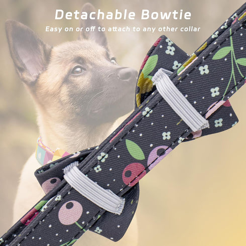 Dog Bow Tie Collar, Adjustable Soft Cotton Bow Tie Puppy Collar with Metal Buckle, Detachable Bow Tie Pet Collar for Small Medium Large Dogs(Black...