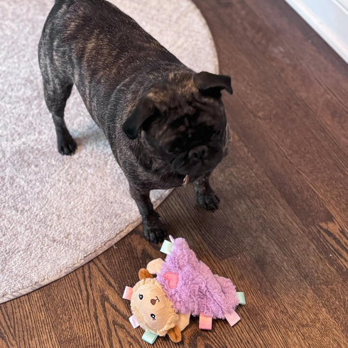 SPOT Soothers- Tabbie Lambie Dog Toy-Separation Anxiety Toys for Dogs, Stuffing Free, Scented with Calming Lavender Fragrance Beads to Safely Calm...