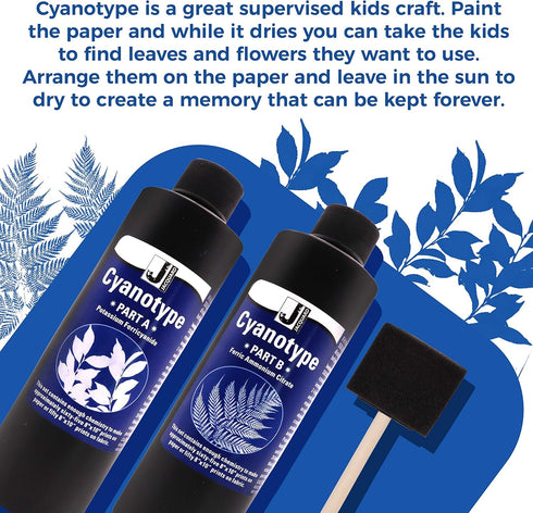 Jacquard Cyanotype - for Photographic Blueprints on Paper and Fabric - 2 Component Sensitizer Set - Bundled with Moshify Sponge Brush for Applicat...