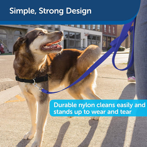 PetSafe Nylon Dog Leash - Strong, Durable, Traditional Style Leash with Easy to Use Bolt Snap - 1 in. x 4 ft., Royal Blue...
