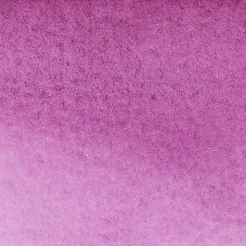 Winsor & Newton ProMarker Watercolor Marker, Mauve...