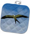 3D Rose Swallow-Tailed Kite in Flight-Florida-USA Pot Holder, 8 x 8...