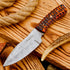 Predator 9" Damascus Steel Fixed Blade Hunting Knives Skinning Knife For Outdoor Camping Skinner Bushcraft Knives with Ergonomic EDC Exotic Wood H...