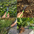 Sturdy Cultivator Garden Hoe Resistant Ergonomic Grip Perfect Tool for Gardening, Weeding, Transplanting and Digging in Weed Puller Tool...