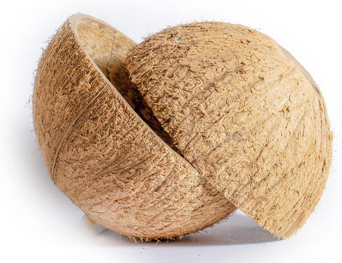 Natural Coconut Bowl Halves Coconut Shell for handicraft or pet feeder and candle maker and Christmas and Halloween decorations (2, with fiber)...