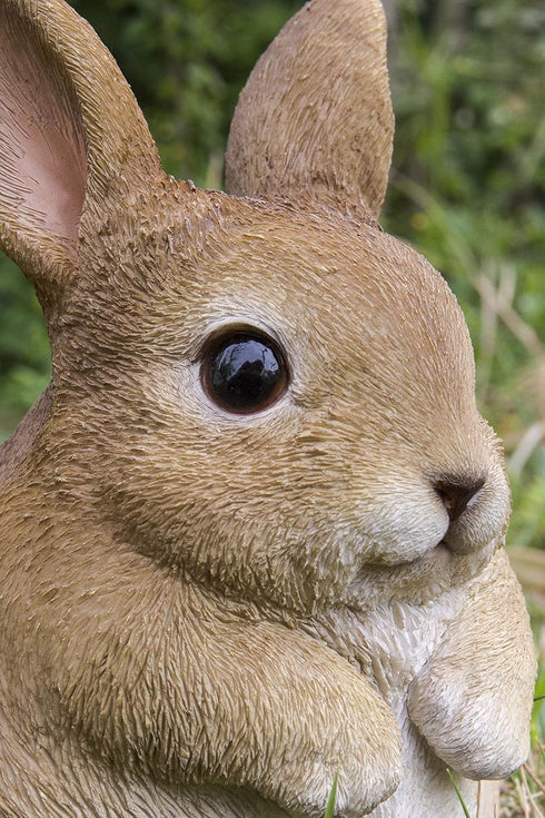 Hi-Line Gift 87685-C Chubby Rabbit Standing...