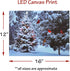BANBERRY DESIGNS Lighted Christmas Tree & Cardinal Birds LED Canvas Print - Snowy Winter - Forest Pine Trees - Winter Scene Wall Art Measures 15.7...