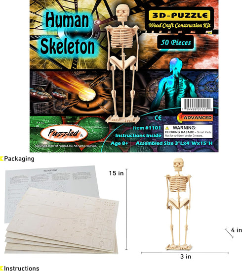 Puzzled 3D Puzzle Human Skeleton Wood Craft Construction Model Kit, Fun & Educational DIY Wooden Toy Assemble Model Unfinished Crafting Hobby Puzz...