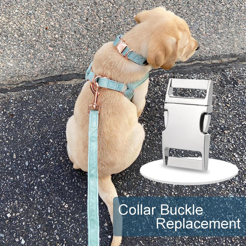 CooBigo 10 Pack Bulk Dog Collar Hardware Metal Buckle 1 inch Webbing Backpack Buckle Replacement Backpack Strap Kit Prong Collar Clip Buckles(Silv...