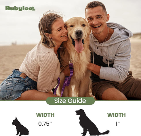 Waterproof Dog Leash 6ft | 100% Washable, Stink Proof, Odor Proof, Fade Proof, Dirt Proof | Soft Padded Handle, Easy Clean | Rust & Corrosion Resi...
