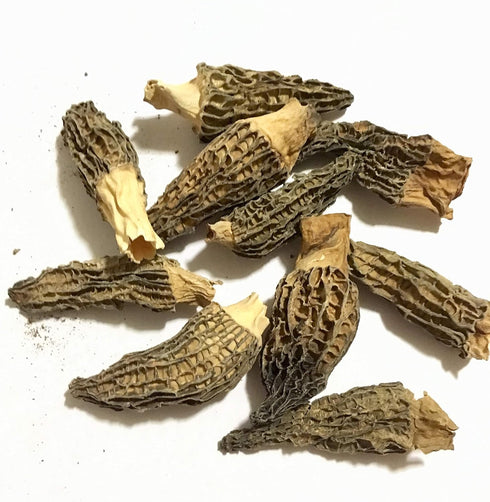 Dried Morel Mushrooms (Morchella Conica) (2oz)...