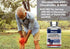 Glucosamine, Chondroitin, & MSM (4000 MG - 240 Capsules) for Men & Women | Joint Support Supplement Complex* | More Than Triple Strength! | Non-GM...