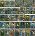 Decoupage Paper Pack (35 Sheets 6"x8") Art Deco Inspired Ladies in Green and Blue Floral Gowns Holding Bouqettes FLONZ Art Nouveau Klimt Vintage I...