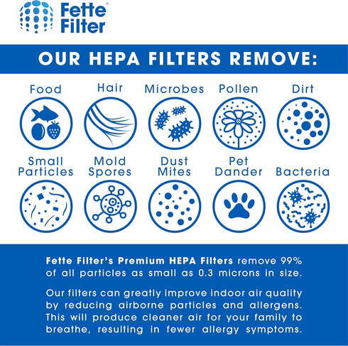 Fette Filter - Vacuum Filter Compatible with Rainbow R12179, R12647B, R10520, E2 Black, E2 Silver, E2 Gold Washable Filters - Pack of 1...