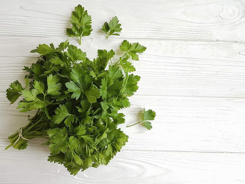 Italian Flat-Leaf Parsley Herb Seeds - Non-GMO - 3 Grams, Approximately 1,500 Seeds...
