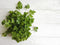 Italian Flat-Leaf Parsley Herb Seeds - Non-GMO - 3 Grams, Approximately 1,500 Seeds...