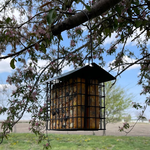 Double Suet Feeder with Green Metal Roof, Holds 2 Suet Cakes, Hanging Bird Feeder for Woodpeckers, Blue Jays, Chickadees, Nuthatches...