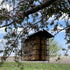 Double Suet Feeder with Green Metal Roof, Holds 2 Suet Cakes, Hanging Bird Feeder for Woodpeckers, Blue Jays, Chickadees, Nuthatches...