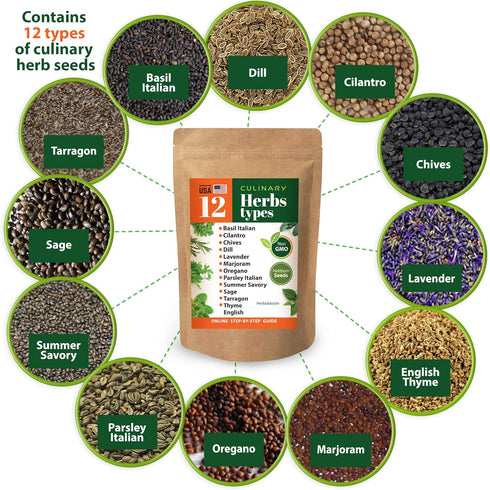 Set of 12 Heirloom Culinary Herb Seeds - 3800 Seeds for Indoor and Outdoor Planting - Basil, Cilantro, Chives, Lavender, Oregano, Dill, Thyme, etc...