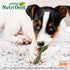 Nylabone Nutri Dent Dog Dental Chews - Natural Dog Teeth Cleaning & Breath Freshener - Dental Treats for Dogs - Fresh Breath Flavor, Small (28 Cou...