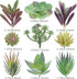 Artificial Succulent Plants - 18 Pack - Premium Fake Plants - Double Flocked Succulents - Realistic Textured Cactus - Face Succulent Plants - Mini...
