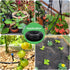 Maotong 50FT 1/4 inch Drip Irrigation Tubing Distribution Hose Tube for Garden Irrigation System...