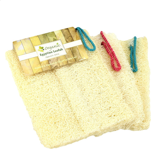 Egyptian Loofah Sponges Natural Exfoliating Body Wash Gourd, Loofah Bath Sponges for Skincare, Exfoliating Back Scrubber (Pack of 3-6.5 in.)...
