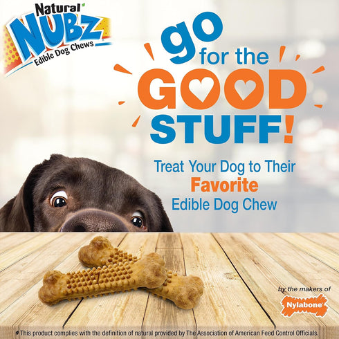 Nylabone Nubz Natural Edible Chew Treats for Dogs, Made in USA, Chicken Flavor, Large - Up to 50 lbs. (8 Count)...