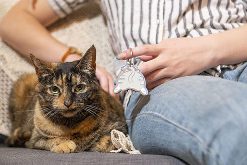 Pearhead Pet Keychain Owner Keepsake, Cat and Dog Gifts, Accessory For Keys, Novelty Gifts, Stocking Stuffer Ideas...