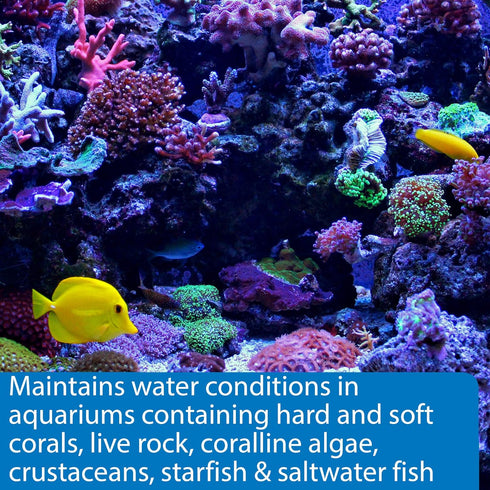 API MARINE COMPLETE TRACE Aquarium Water Conditioner 16-Ounce Bottle...