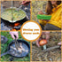 5-in-1 Camping Utensils Detachable Cutlery Portable Silverware Stainless Steel Flatware Multitool Set Tongs Spork Spoon Knife for Backpacking Hiki...