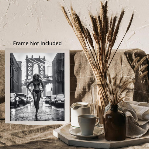 Posterizer 1 pcs-black and white photo-classic urban Manhattan scene 3-Photography Art Gift for Women, Fashionistas, Designer Fashion Fans- unfra...