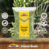 Rani Fennel Seeds (Saunf Sabut) Whole Spice 3.5oz (100g) ~ All Natural | Gluten Friendly | NON-GMO | Kosher | Vegan | Indian Origin...