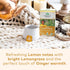 ORGANIC INDIA Tulsi Lemon Ginger Tea Bags - Herbal Tea, Stress Relieving & Reviving, Immune Support, Aids Digestion, Vegan, USDA Certified Organic...