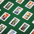 Underdog Games National Park Playing Cards | 52 Pieces of Stunning Custom Art | Unique Park for Every Card...