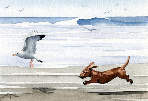 Dachshund At The Beach Art Print by Watercolor Artist DJ Rogers...