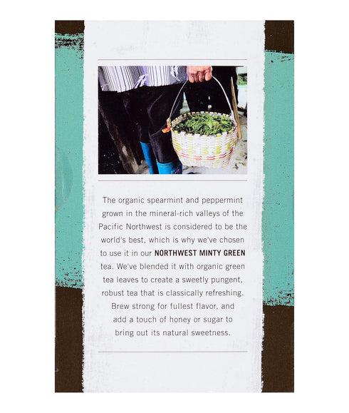 Allegro Tea, Organic Northwest Minty Green Tea Bags, 20 ct...