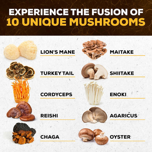 Mushroom Supplement 10x Complex - Lions Mane, Turkey Tail, Cordyceps, Reishi, Chaga, Maitake, Shiitake, Oyster Extract Mushrooms - Nootropic Brain...