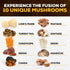 Mushroom Supplement 10x Complex - Lions Mane, Turkey Tail, Cordyceps, Reishi, Chaga, Maitake, Shiitake, Oyster Extract Mushrooms - Nootropic Brain...