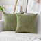 Home Brilliant Sage Green Spring Pillow Covers Chenille Velvet Plush Decorative Throw Pillow for Couch Sofa Decor, 2 Packs 18x18 inch (45cm), Fres...
